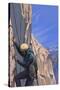 Rock Climber-Lantern Press-Stretched Canvas