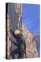 Rock Climber-Lantern Press-Stretched Canvas