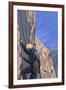 Rock Climber-Lantern Press-Framed Art Print