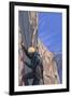 Rock Climber-Lantern Press-Framed Art Print