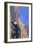Rock Climber-Lantern Press-Framed Art Print