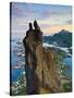 Rock Climbers Scale the Famous Svolværgeita, Svolvaer, Lofoten, Nordland, Norway-Doug Pearson-Stretched Canvas