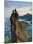 Rock Climbers Scale the Famous Svolværgeita, Svolvaer, Lofoten, Nordland, Norway-Doug Pearson-Mounted Photographic Print