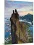 Rock Climbers Scale the Famous Svolværgeita, Svolvaer, Lofoten, Nordland, Norway-Doug Pearson-Mounted Photographic Print