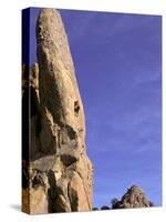 Rock Climbing-Mitch Diamond-Stretched Canvas