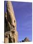 Rock Climbing-Mitch Diamond-Stretched Canvas