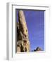 Rock Climbing-Mitch Diamond-Framed Photographic Print