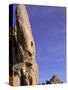 Rock Climbing-Mitch Diamond-Stretched Canvas