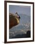 Rock Climbing-null-Framed Photographic Print