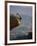 Rock Climbing-null-Framed Photographic Print