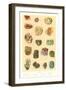 Rock Collection-null-Framed Art Print