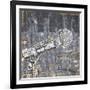 Rock Concert IV-NBL Studio-Framed Art Print