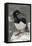 Rock Cormorant-Joe McDonald-Framed Stretched Canvas