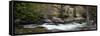 Rock Creek Beartooth Mountains Montana-Steve Gadomski-Framed Stretched Canvas