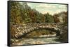 Rock Creek Park, Washington D.C.-null-Framed Stretched Canvas