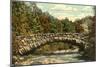 Rock Creek Park, Washington D.C.-null-Mounted Art Print