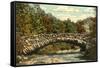 Rock Creek Park, Washington D.C.-null-Framed Stretched Canvas