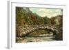 Rock Creek Park, Washington D.C.-null-Framed Art Print