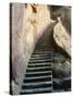 Rock Cut Steps on Stairway, White Cloud Scenic Area, Huang Shan, Anhui Province, China-Jochen Schlenker-Stretched Canvas