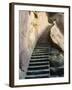 Rock Cut Steps on Stairway, White Cloud Scenic Area, Huang Shan, Anhui Province, China-Jochen Schlenker-Framed Photographic Print