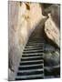 Rock Cut Steps on Stairway, White Cloud Scenic Area, Huang Shan, Anhui Province, China-Jochen Schlenker-Mounted Photographic Print