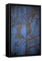 Rock Engraving, Rabati Malik Steppe, Uzbekistan-null-Framed Stretched Canvas