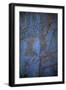 Rock Engraving, Rabati Malik Steppe, Uzbekistan-null-Framed Giclee Print