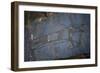 Rock Engraving, Rabati Malik Steppe, Uzbekistan-null-Framed Giclee Print