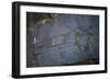 Rock Engraving, Rabati Malik Steppe, Uzbekistan-null-Framed Giclee Print