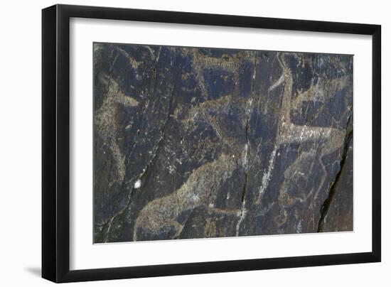 Rock Engraving, Rabati Malik Steppe, Uzbekistan-null-Framed Giclee Print