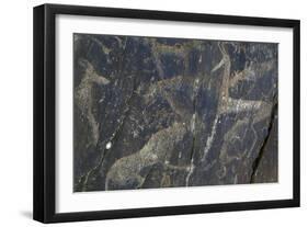 Rock Engraving, Rabati Malik Steppe, Uzbekistan-null-Framed Giclee Print