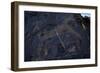 Rock Engraving, Rabati Malik Steppe, Uzbekistan-null-Framed Giclee Print