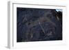 Rock Engraving, Rabati Malik Steppe, Uzbekistan-null-Framed Giclee Print