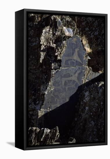 Rock Engraving, Rabati Malik Steppe, Uzbekistan-null-Framed Stretched Canvas