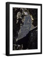 Rock Engraving, Rabati Malik Steppe, Uzbekistan-null-Framed Giclee Print