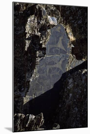 Rock Engraving, Rabati Malik Steppe, Uzbekistan-null-Mounted Giclee Print