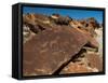 Rock Engravings, Huab River Valley, Torra Conservancy, Damaraland, Namibia, Africa-Sergio Pitamitz-Framed Stretched Canvas