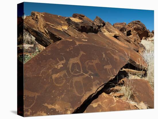 Rock Engravings, Huab River Valley, Torra Conservancy, Damaraland, Namibia, Africa-Sergio Pitamitz-Stretched Canvas