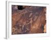 Rock Engravings, UNESCO World Heritage Site, Twyfelfontein, Namibia, Africa-Peter Groenendijk-Framed Photographic Print