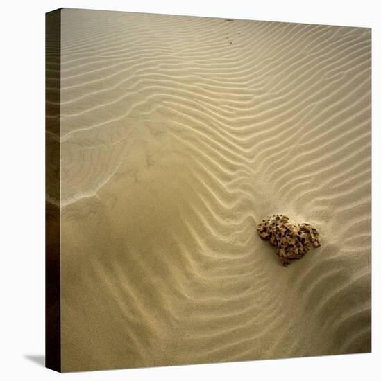 Rock Eroding in Desert Sand-Micha Pawlitzki-Stretched Canvas