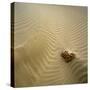 Rock Eroding in Desert Sand-Micha Pawlitzki-Stretched Canvas