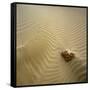 Rock Eroding in Desert Sand-Micha Pawlitzki-Framed Stretched Canvas