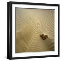 Rock Eroding in Desert Sand-Micha Pawlitzki-Framed Photographic Print