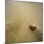 Rock Eroding in Desert Sand-Micha Pawlitzki-Mounted Photographic Print