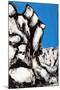 Rock Face, 2011-Rob Woods-Mounted Giclee Print