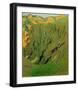 Rock Face Near Bex-Félix Vallotton-Framed Giclee Print