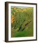 Rock Face Near Bex-Félix Vallotton-Framed Giclee Print