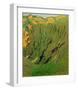 Rock Face Near Bex-Félix Vallotton-Framed Giclee Print