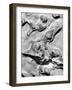 Rock Formation, 1952-Brett Weston-Framed Photographic Print