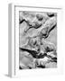 Rock Formation, 1952-Brett Weston-Framed Photographic Print